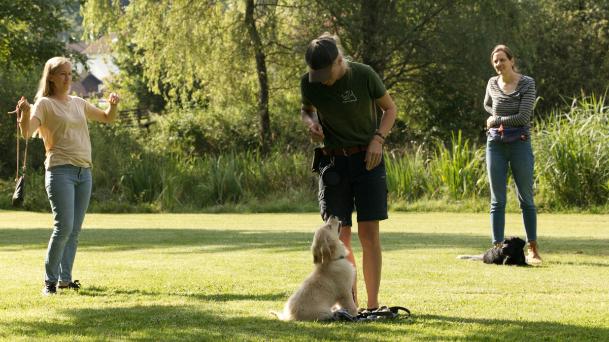 Gruppenkurse und Einzelunterricht